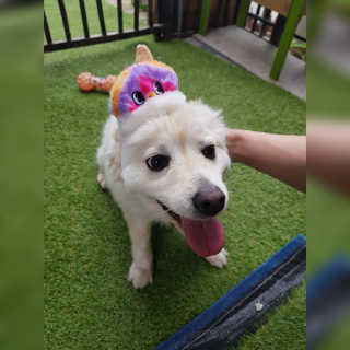 코코민네님이 올린 리뷰 사진 4