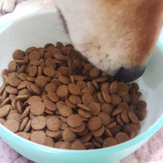 스블리님이 올린 리뷰 사진 3