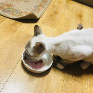 용이용님이 올린 리뷰 사진 1