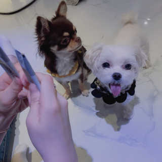 리뷰의요정님이 올린 리뷰 사진 2