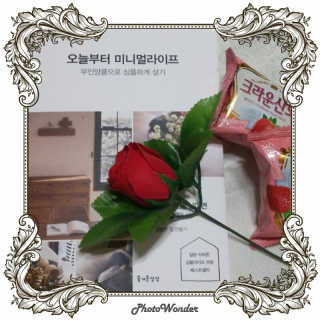 해리밍님이 올린 리뷰 사진 1