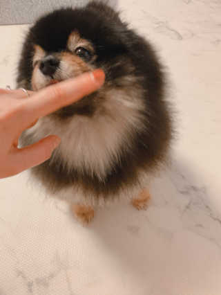 두근두근님이 올린 리뷰 사진 3