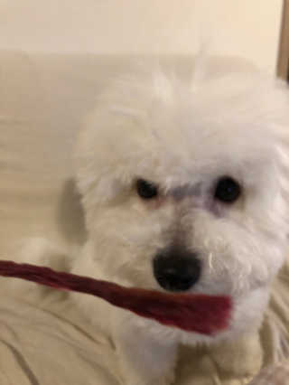 BADA님이 올린 리뷰 사진 4