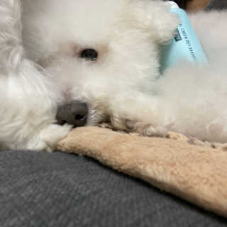 쏨님이 올린 리뷰 사진 1