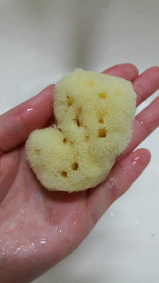 SEMELE님이 올린 리뷰 사진 2