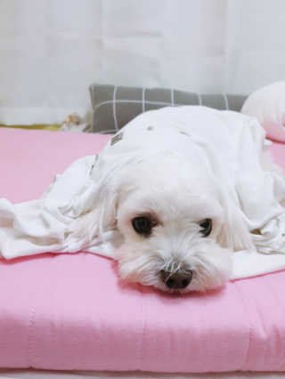 황선아님이 올린 리뷰 사진 2
