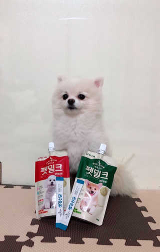 [빙그레] 에버그로 생유산균 1봉（10포입）+펫밀크2팩 — 5점을 준 리뷰어가 2019년 3월 올린 사용 사진