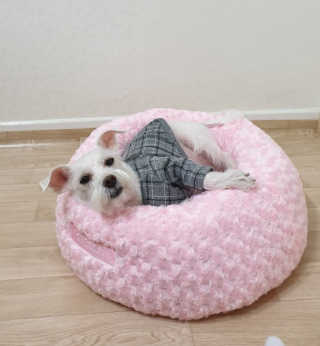 곰같은여우님이 올린 리뷰 사진 1