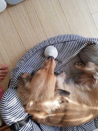 치토스님이 올린 리뷰 사진 3