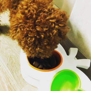 cola님이 올린 리뷰 사진 3