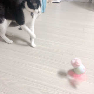 밍미이님이 올린 리뷰 사진 2