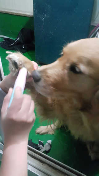 별이님이 올린 리뷰 사진 1