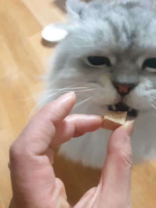 바다의해님이 올린 리뷰 사진 2