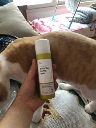 달리프 클로렐라 베러 루트 쿨링 스프레이 100ml — 4점을 준 리뷰어가 2019년 7월 올린 사용 사진