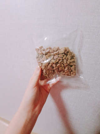 [펫토리아] 맛도 영양도 BEST 한끼뚝딱 강아지 사료 — 5점을 준 리뷰어가 2019년 4월 올린 사용 사진
