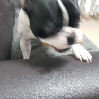 뀨뀨님이 올린 리뷰 사진 2