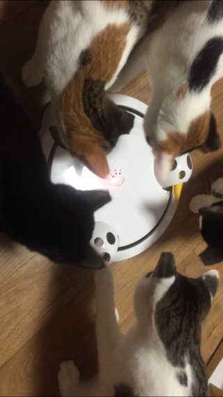 까꿍님이 올린 리뷰 사진 1