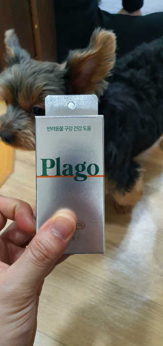 뎅님이 올린 리뷰 사진 4