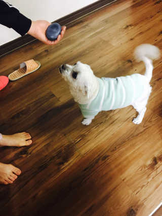 김야옹님이 올린 리뷰 사진 3