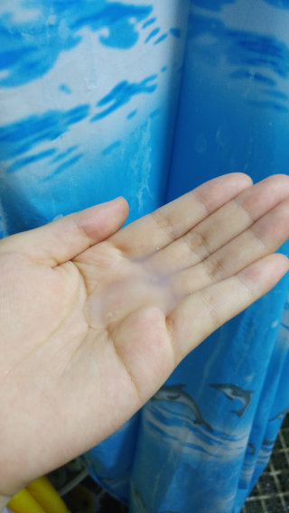 qwdpower님이 올린 리뷰 사진 2