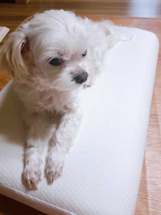 youngran님이 올린 리뷰 사진 1