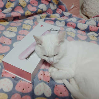 라온시연님이 올린 리뷰 사진 1