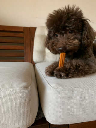 콩지님이 올린 리뷰 사진 1