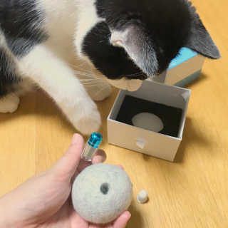 cola님이 올린 리뷰 사진 1