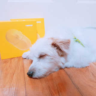 깜총님이 올린 리뷰 사진 2