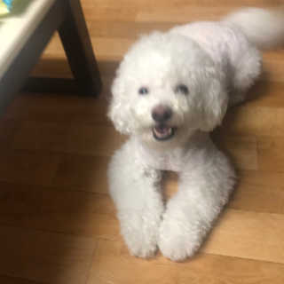 갱스님이 올린 리뷰 사진 3