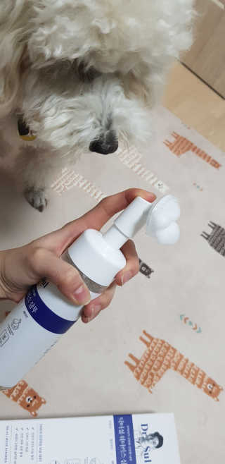 캐스퍼님이 올린 리뷰 사진 2
