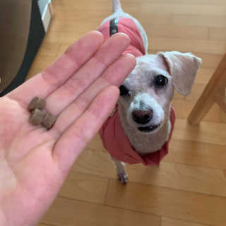 이린님이 올린 리뷰 사진 3