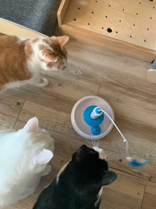 정선님이 올린 리뷰 사진 1