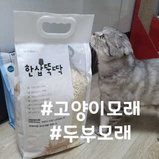 파랑텀블러님이 올린 리뷰 사진 1