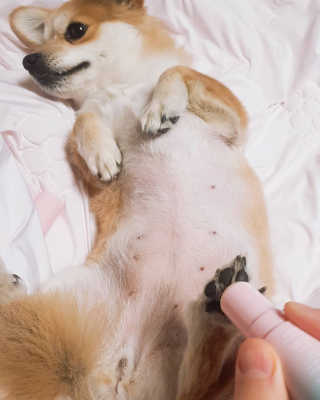 dbubic님이 올린 리뷰 사진 2