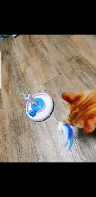 깜뽐님이 올린 리뷰 사진 2