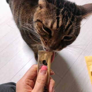 [펫토리아] 강아지,고양이겸용 짜먹는 한입뚝딱 — 5점을 준 리뷰어가 2019년 1월 올린 사용 사진