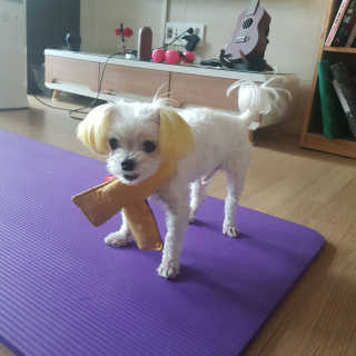 JisooPark님이 올린 리뷰 사진 3