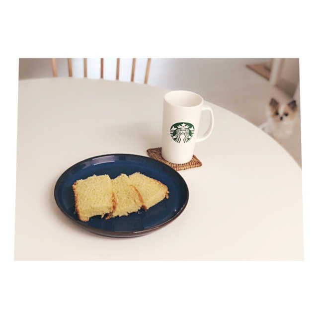 김성일찰보리카스테라 리뷰 사진