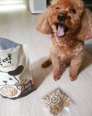 [펫토리아] 맛도 영양도 BEST 한끼뚝딱 강아지 사료 — 5점을 준 리뷰어가 2019년 4월 올린 사용 사진