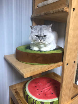 강민지님이 올린 리뷰 사진 2