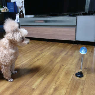 bonooo님이 올린 리뷰 사진 3