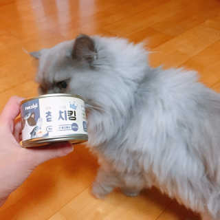 디에이님이 올린 리뷰 사진 2