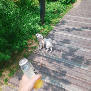 daaanbs님이 올린 리뷰 사진 1