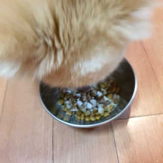 선율님이 올린 리뷰 사진 4