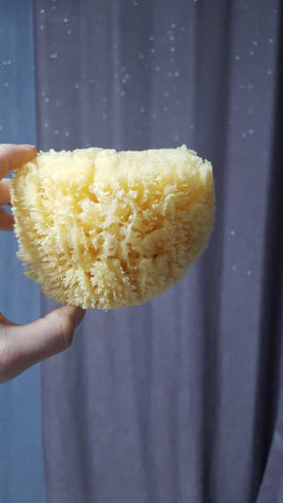 룰라러브 모공관리 끝 지중해산 천연해면 바디스펀지 — 4.67점을 준 리뷰어가 2018년 4월 올린 사용 사진
