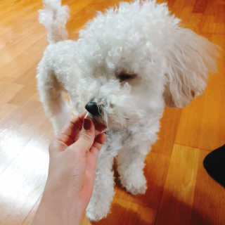 민동2님이 올린 리뷰 사진 3