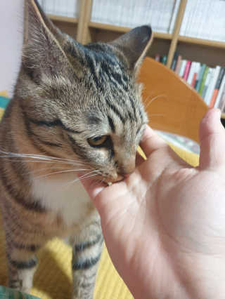 무ㅗ왜뭐님이 올린 리뷰 사진 3