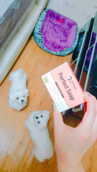콩님이 올린 리뷰 사진 3