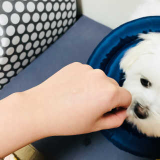 AHC 에이 에이치 씨 미니멀 10 워터리 에센스 — 3점을 준 리뷰어가 2018년 12월 올린 사용 사진